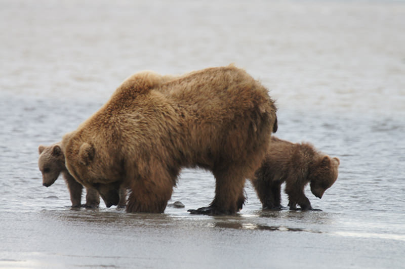 Lake Clark National Park