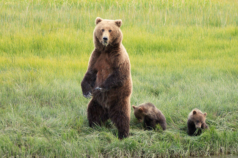 Lake Clark National Park