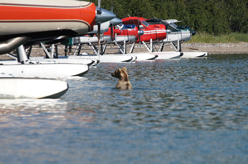 Katmai National Park