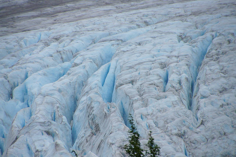 Exit Glacier, Seward