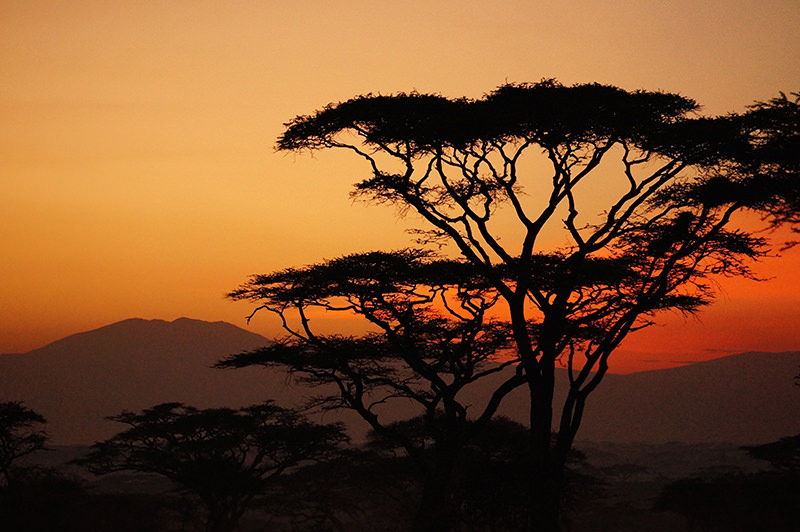 Tanzania Sunset