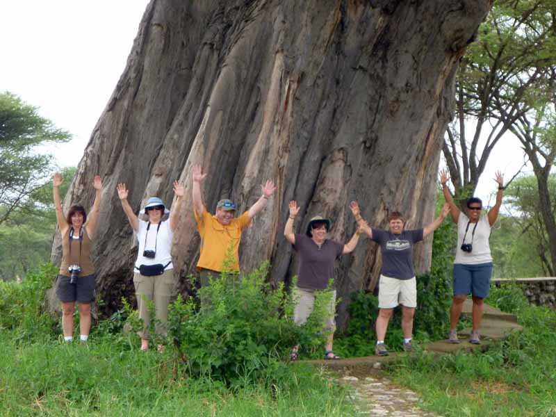 Baobab