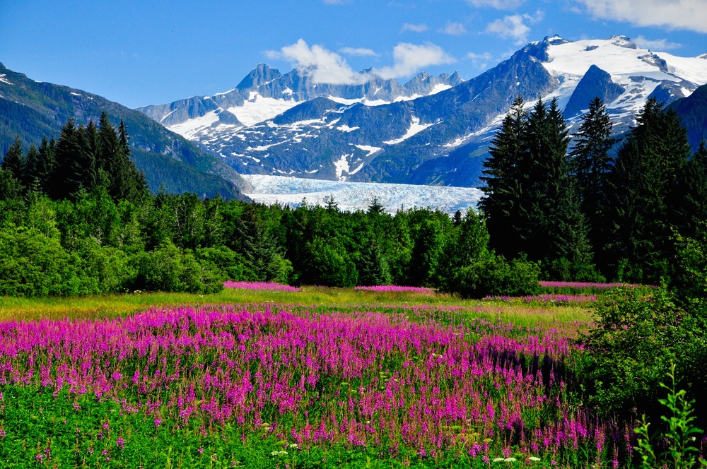 Mendenhall Glacier